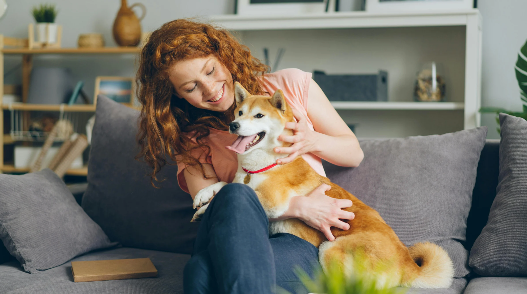 Creating Homes That Welcome Furry Family Members